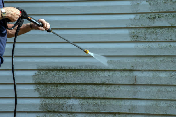 Professional Pressure Washing Services in Ballville, OH
